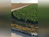 Ma-Cabane - Vente Terrain Mesnil-Sellières, 1476 m²
