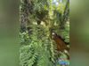 Ma-Cabane - Vente Terrain Messanges, 1041 m²