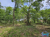 Ma-Cabane - Vente Terrain Mézos, 1600 m²