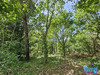 Ma-Cabane - Vente Terrain Mézos, 1600 m²