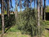 Ma-Cabane - Vente Terrain MIGNALOUX BEAUVOIR, 1850 m²