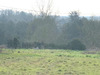 Ma-Cabane - Vente Terrain MIGNE AUXANCES, 662 m²
