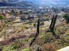 Ma-Cabane - Vente Terrain Millau, 2394 m²