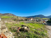 Ma-Cabane - Vente Terrain MILLAU, 725 m²