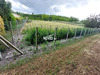 Ma-Cabane - Vente Terrain Mirebeau, 1843 m²