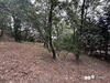 Ma-Cabane - Vente Terrain Miremont, 1593 m²