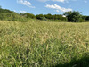 Ma-Cabane - Vente Terrain Moisdon-la-Riviere, 4874 m²