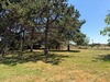Ma-Cabane - Vente Terrain Moisdon-la-Rivière, 1300 m²