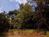 Ma-Cabane - Vente Terrain MOISSAC-BELLEVUE, 6665 m²