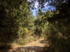 Ma-Cabane - Vente Terrain MOISSAC-BELLEVUE, 6665 m²