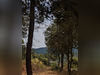 Ma-Cabane - Vente Terrain MOISSAC-BELLEVUE, 6665 m²