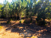 Ma-Cabane - Vente Terrain MOLIETS-ET-MAA, 1465 m²