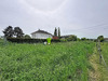 Ma-Cabane - Vente Terrain Molsheim, 1200 m²