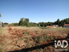 Ma-Cabane - Vente Terrain Monclar-de-Quercy, 1240 m²