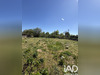 Ma-Cabane - Vente Terrain Moncoutant, 1273 m²
