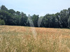 Ma-Cabane - Vente Terrain MONS, 6000 m²