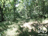 Ma-Cabane - Vente Terrain Montdurausse, 2000 m²