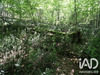 Ma-Cabane - Vente Terrain Montdurausse, 2000 m²