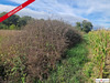Ma-Cabane - Vente Terrain MONTENEUF, 56990 m²
