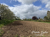 Ma-Cabane - Vente Terrain MONTERTELOT, 1525 m²