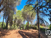 Ma-Cabane - Vente Terrain Montesquieu-des-Albères, 1430 m²