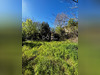 Ma-Cabane - Vente Terrain Montfort-sur-Argens, 380 m²
