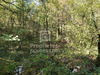 Ma-Cabane - Vente Terrain MONTGESTY, 4515 m²