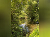 Ma-Cabane - Vente Terrain MONTGOBERT, 12000 m²