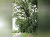 Ma-Cabane - Vente Terrain Montjoire, 1188 m²