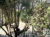Ma-Cabane - Vente Terrain Montpellier, 420 m²