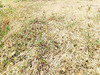 Ma-Cabane - Vente Terrain MONTPELLIER, 850 m²
