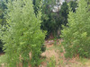 Ma-Cabane - Vente Terrain MONTPELLIER, 850 m²