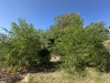 Ma-Cabane - Vente Terrain MONTPELLIER, 844 m²