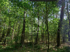 Ma-Cabane - Vente Terrain MONTPON-MENESTEROL, 8870 m²