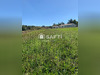 Ma-Cabane - Vente Terrain Montredon-Labessonnie, 1196 m²