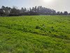 Ma-Cabane - Vente Terrain MONTREM, 2711 m²