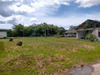 Ma-Cabane - Vente Terrain MONTSINERY TONNEGRANDE, 185 m²