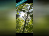Ma-Cabane - Vente Terrain Morlanne, 7032 m²