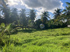 Ma-Cabane - Vente Terrain Morne-à-l'Eau, 2037 m²