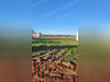 Ma-Cabane - Vente Terrain MORTEMER, 740 m²