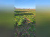 Ma-Cabane - Vente Terrain MORTEMER, 740 m²