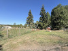 Ma-Cabane - Vente Terrain Moudeyres, 775 m²