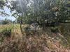 Ma-Cabane - Vente Terrain Murato, 974 m²