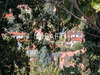 Ma-Cabane - Vente Terrain Muret, 1488 m²