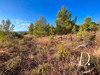 Ma-Cabane - Vente Terrain Murviel-lès-Béziers, 8311 m²