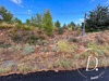 Ma-Cabane - Vente Terrain Murviel-lès-Béziers, 8311 m²