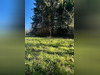 Ma-Cabane - Vente Terrain Muttersholtz, 599 m²