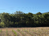 Ma-Cabane - Vente Terrain Nans-les-Pins, 2570 m²
