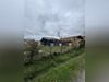 Ma-Cabane - Vente Terrain Narrosse, 350 m²