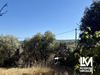 Ma-Cabane - Vente Terrain Neffiès, 971 m²